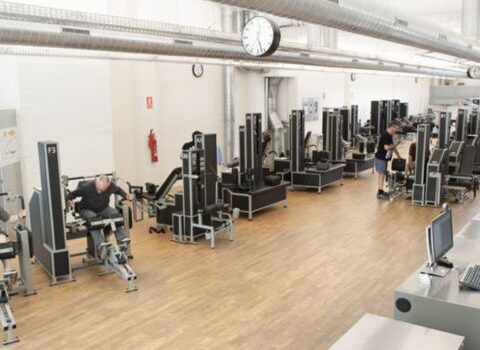 Wunder Training
