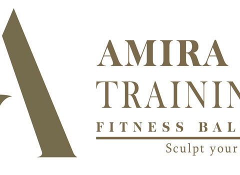 Amira Training