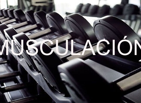 Los mejores gimnasios para culturistas en Barcelona